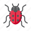 arthropod, ladybug, bug, insect 