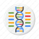 dna, genome, gene, chromosome, genetics, biology
