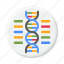 dna, genome, gene, chromosome, genetics, biology 