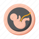 embryo, baby, human, pregnancy