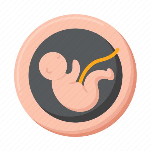 Embryo, baby, human, pregnancy icon - Download on Iconfinder