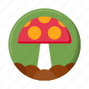 fungi, mushroom, mushrooms, fungus, toadstool