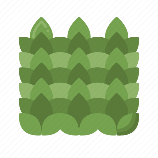 Moss, plant, green, nature icon - Download on Iconfinder