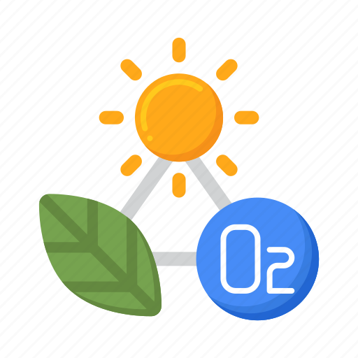 Photosynthesis, plant, energy, leaf, process, biology icon - Download on Iconfinder