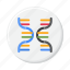rna, genome, genetics, helix, biology, chromosome 