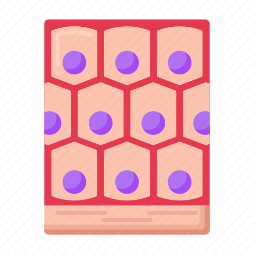 Tissue, cells, biology icon - Download on Iconfinder