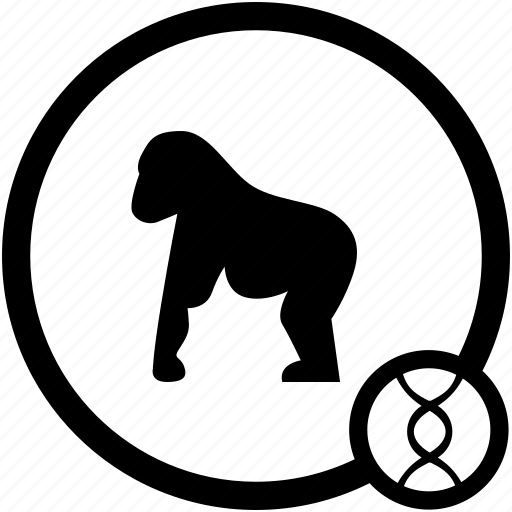 Animal, gorilla, monkey, zoo icon - Download on Iconfinder