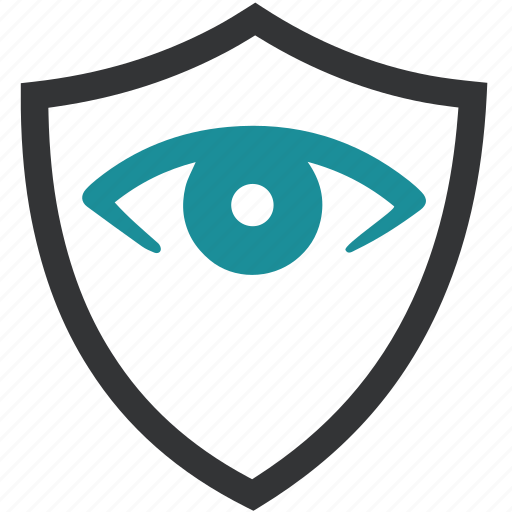 Biometric, eye, protection icon - Download on Iconfinder