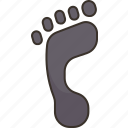 footprint, footstep, walk, pattern, human
