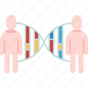 dna, matching, chromosome, genetic, analysis