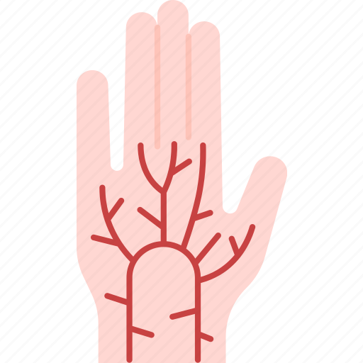 Palm, vein, hand, recognition, authentication icon - Download on Iconfinder