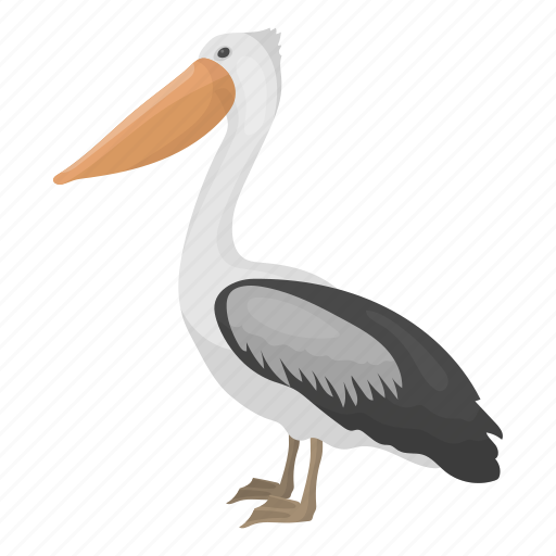 Animal, bird, feathered, pelican, wild icon - Download on Iconfinder