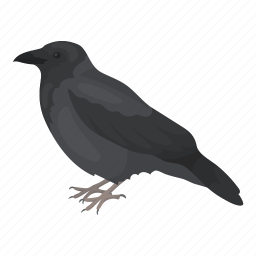 Animal, bird, crow, feathered, wild icon - Download on Iconfinder