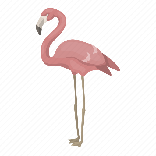 Animal, bird, feathered, pink flamingo, wild icon - Download on Iconfinder