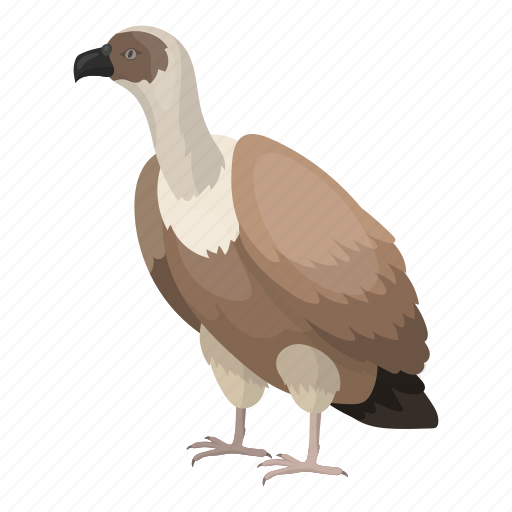 Animal, bird, feathered, predator, vulture, wild icon - Download on Iconfinder