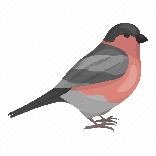 Animal, bird, bullfinch, feathered, wild icon - Download on Iconfinder