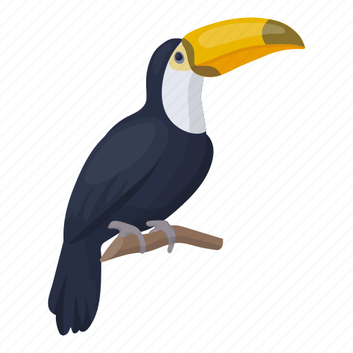 Animal, bird, feathered, toucan, wild icon - Download on Iconfinder
