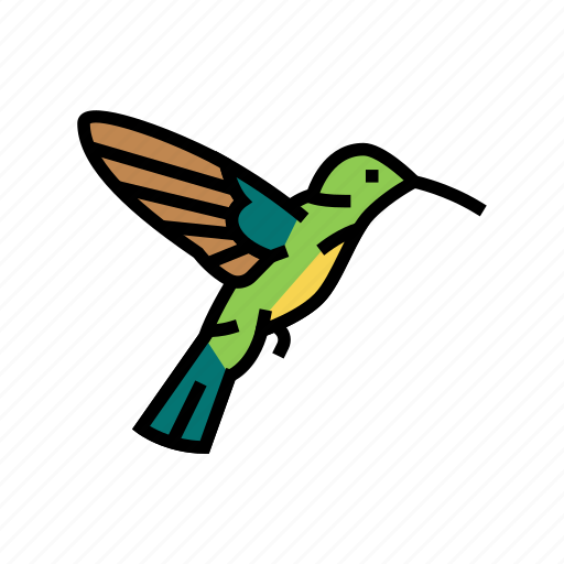 Colibri, bird, flying, animal, feather, toucan icon - Download on Iconfinder