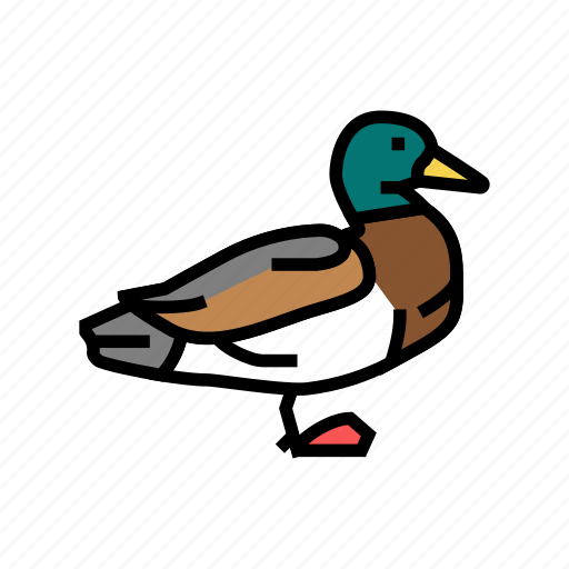 Duck, bird, flying, animal, feather, toucan icon - Download on Iconfinder