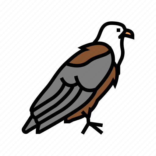 Eagle, bird, flying, animal, feather, toucan icon - Download on Iconfinder