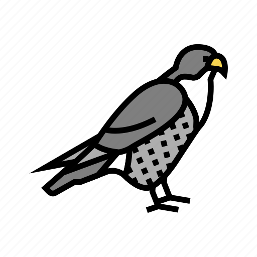 Falcon, bird, flying, animal, feather, toucan icon - Download on Iconfinder