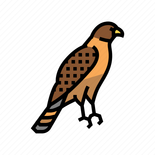 Hawk, bird, flying, animal, feather, toucan icon - Download on Iconfinder