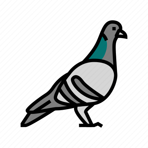 Pigeon, bird, flying, animal, feather, toucan icon - Download on Iconfinder