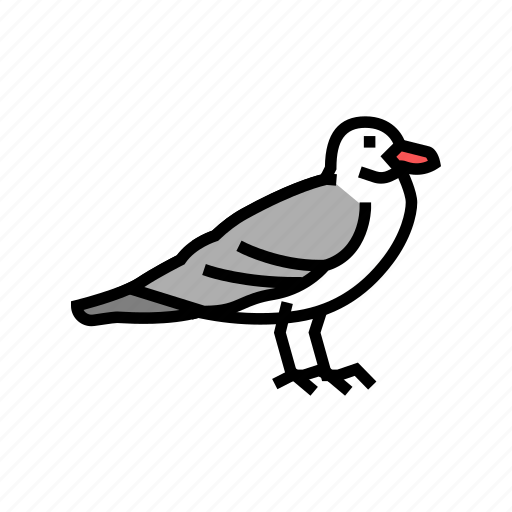 Seagull, bird, flying, animal, feather, toucan icon - Download on Iconfinder