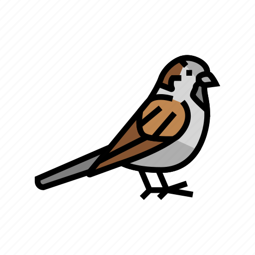Sparrow, bird, flying, animal, feather, toucan icon - Download on Iconfinder