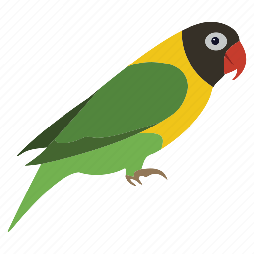 Bird, colorful bird, flat bird, fly, sky, tropical bird, wing icon - Download on Iconfinder