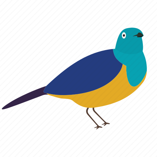 Bird, colorful bird, flat bird, fly, sky, tropical bird, wing icon - Download on Iconfinder