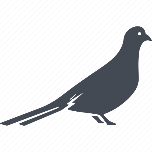 Birds, bird, nature, beak, plumage icon - Download on Iconfinder