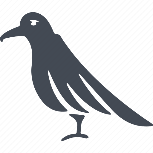Birds, bird, magpie, nature, ecology icon - Download on Iconfinder