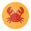 crab, cancer, restorent, sea, seafood 