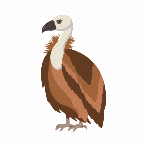 Bird, vulture, wildlife, nature, giant icon - Download on Iconfinder
