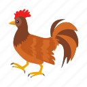cock, hen, animal, rooster, chicken