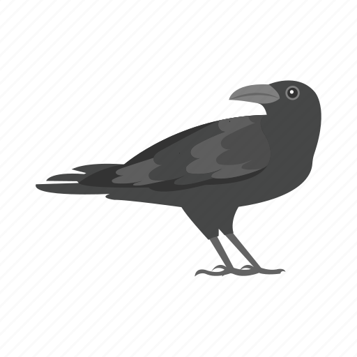 Crow, animal, bird, feather, raven icon - Download on Iconfinder