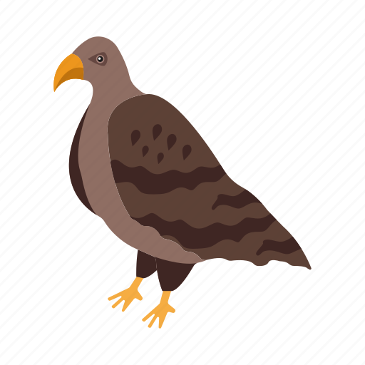 Eagle, hawk, bird, animal, kingdom icon - Download on Iconfinder
