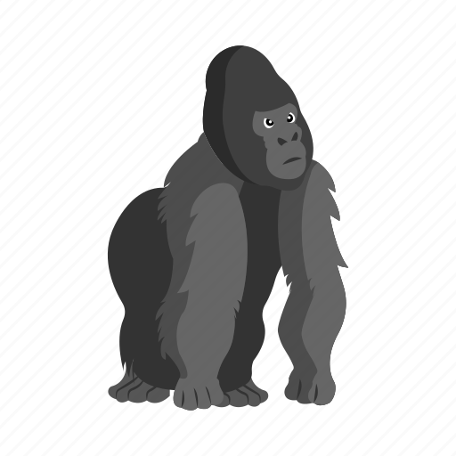 Gorilla, kingkong, monkey, animal, mammal icon - Download on Iconfinder