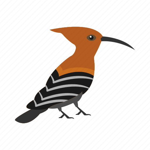 Hoodhood, bird, egypt, feather, creature icon - Download on Iconfinder