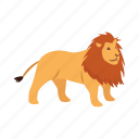 lion, animal, jungle, forest, predator