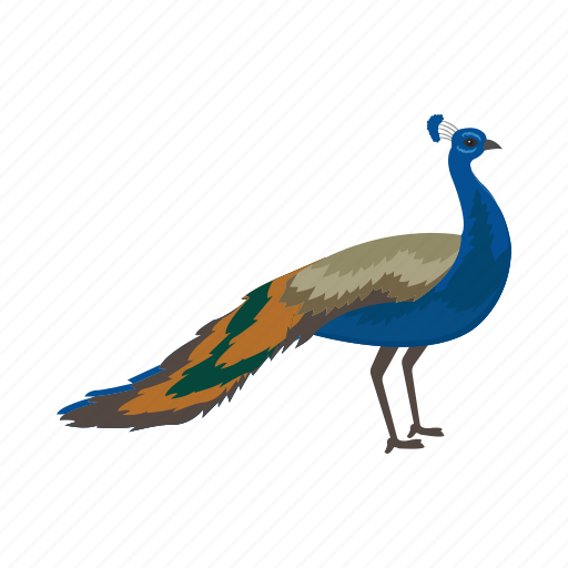 Peacock, peahen, pavo, animal, bird icon - Download on Iconfinder