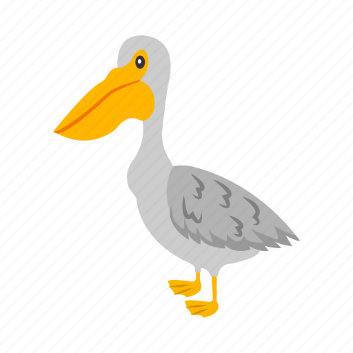 Pelican, bird, flying, feather, duck icon - Download on Iconfinder