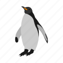 penguin, antarctic, sea, wildlife, ocean