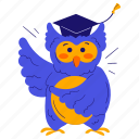 owl with graduation hat, owl, graduate, scholarship, mortarboard, school, education, study, student
