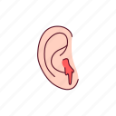 bleeding, ear, organ