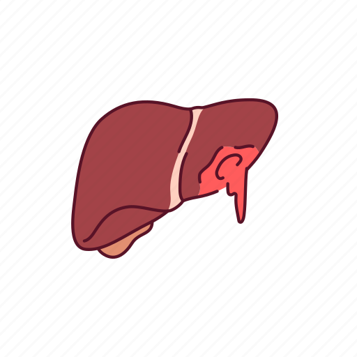 Bleeding, parenchymal, liver icon - Download on Iconfinder
