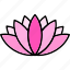 lotus, flower 