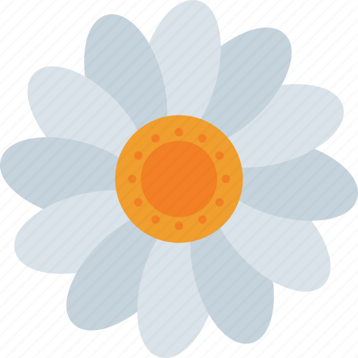 Daisy icon - Download on Iconfinder on Iconfinder