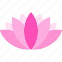 lotus, flower